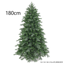 画像をギャラリービューアに読み込む, クリスマスツリー(180cm)/Tree(180cm)