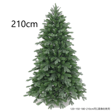 画像をギャラリービューアに読み込む, クリスマスツリー210cm/Tree(210cm)