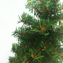 画像をギャラリービューアに読み込む, ツリー(30cm)/Tree(30cm)