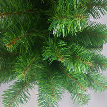 画像をギャラリービューアに読み込む, ツリー(60cm)/Tree(60cm)