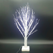 画像をギャラリービューアに読み込む, ホワイトライトツリー White Light Tree