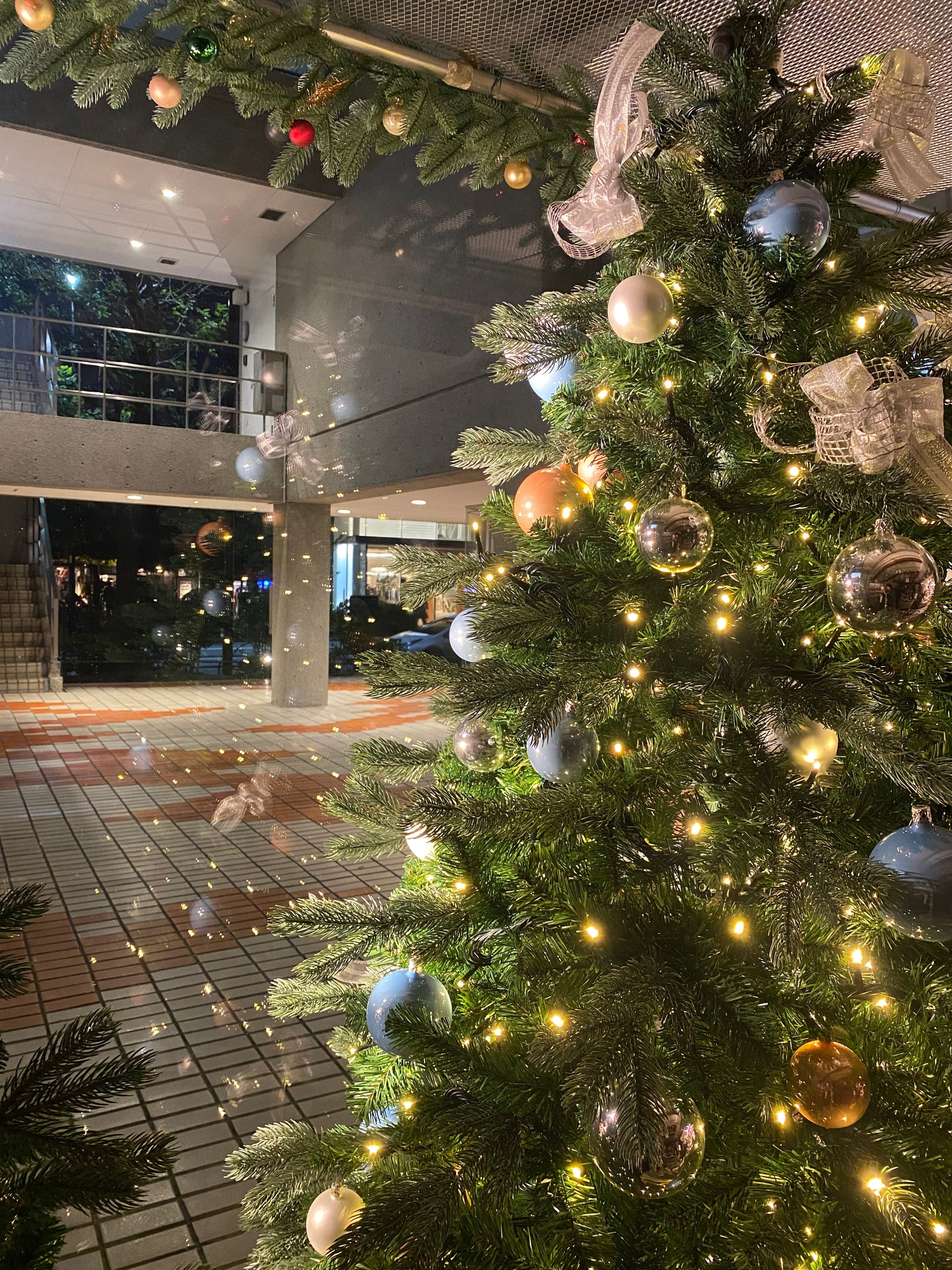 代官山 クリスマスカンパニー