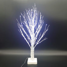 画像をギャラリービューアに読み込む, ホワイトライトツリー White Light Tree
